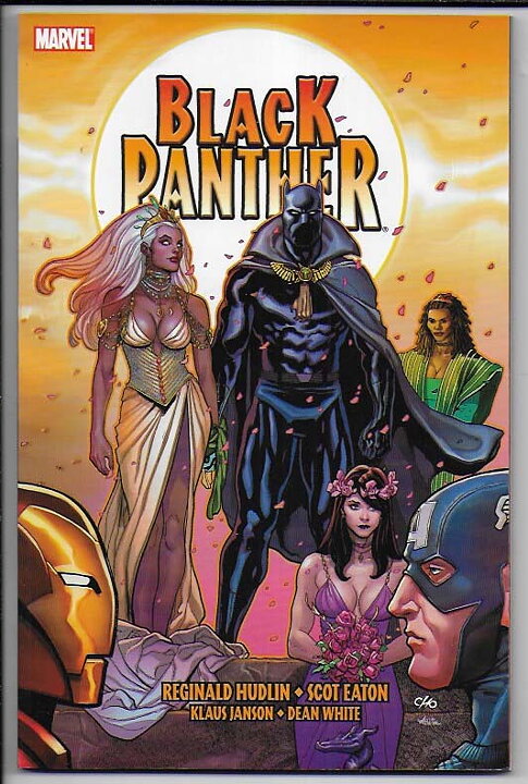 Black Panther: The Bride TP NM