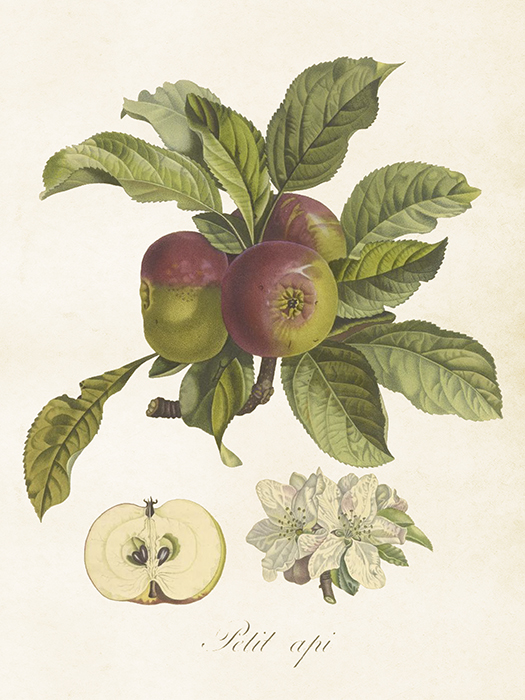 Tygkasse Äpple - 3