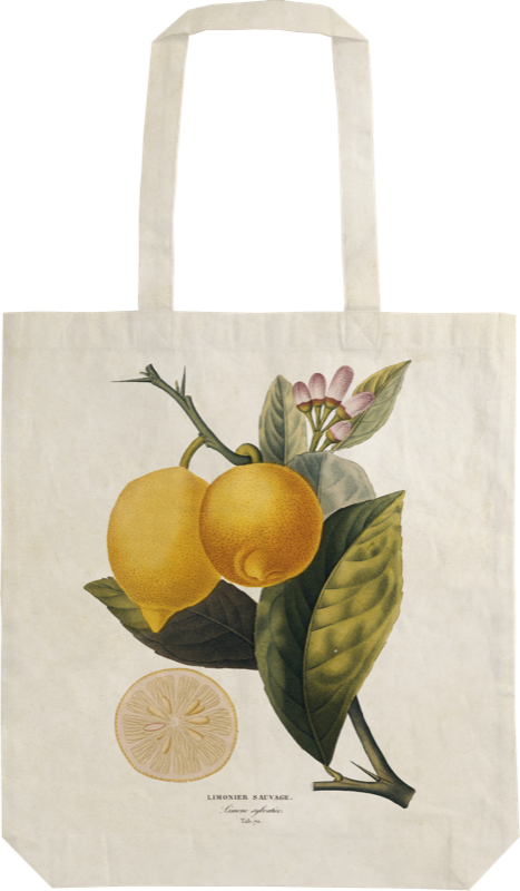 Kökshandduk Citron - 4
