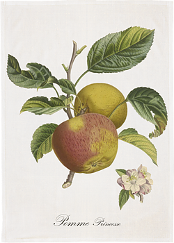 Kökshandduk Äpple