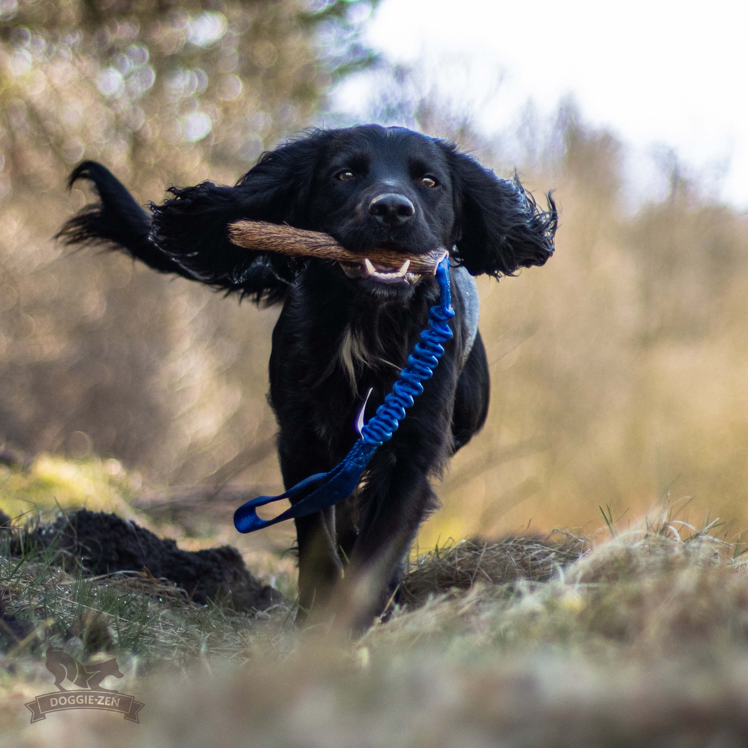 Bungee Deer Tug M - 5