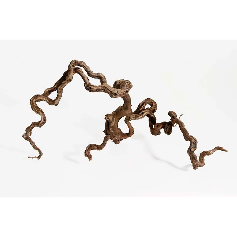 Aquadeco Winewood M 40-70cm
