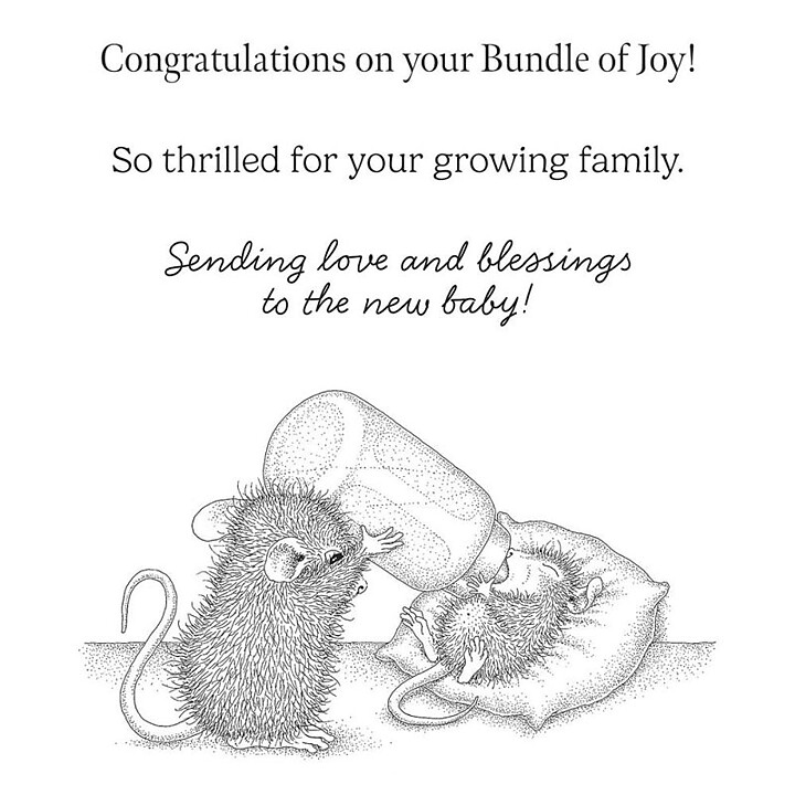 Spellbinders House Mouse Cling Rubber Stamps - Bundle of Joy