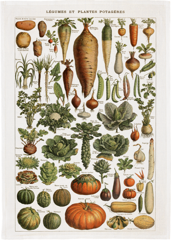 Posters, 50x70 cm. Levereras i papptub. 