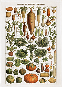 Posters, 50x70 cm. Levereras i papptub. 