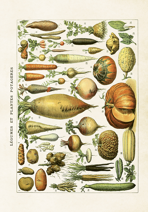Posters, 35x50 cm. Levereras i papptub.