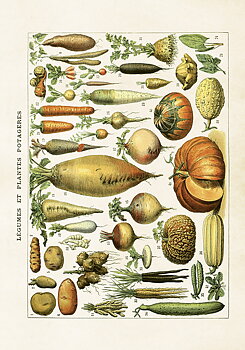 Posters, 35x50 cm. Levereras i papptub.