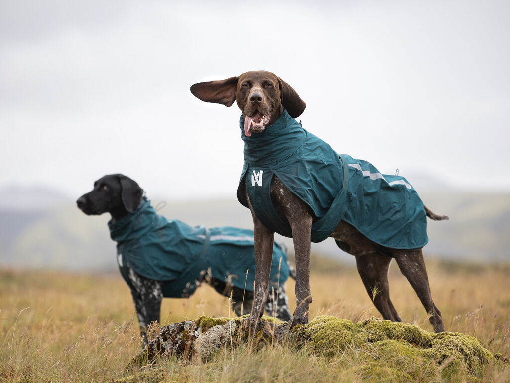 Non-Stop Dogwear Fjord Lined Raincoat - Dark Teal - waterproof