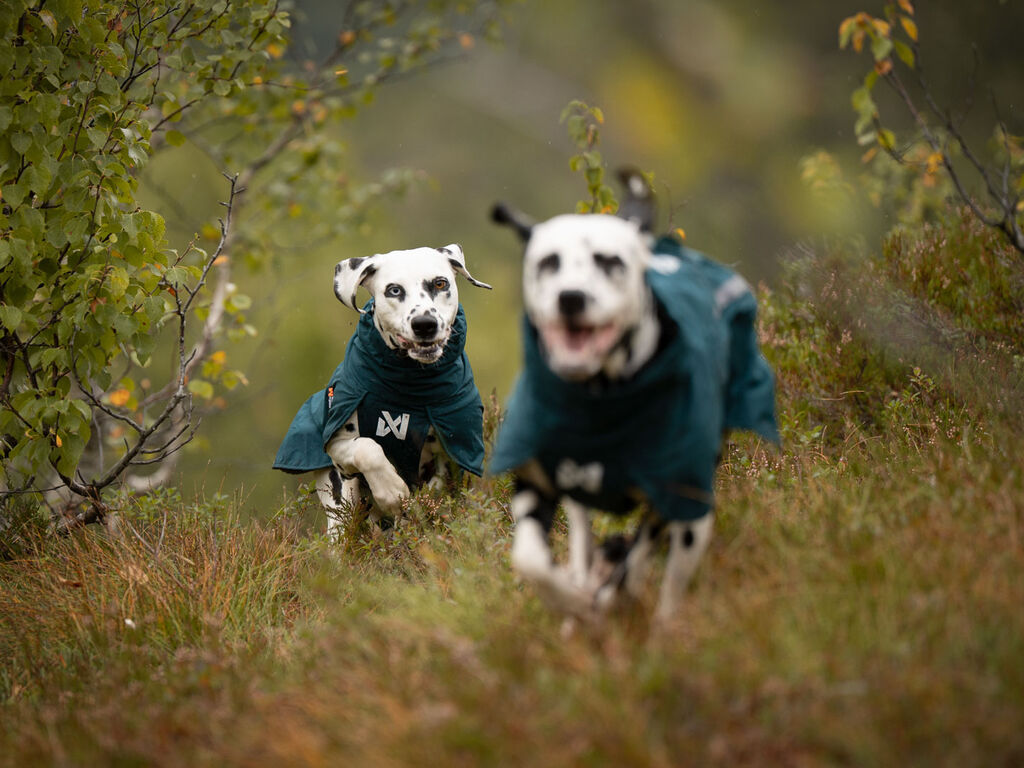 Non-Stop Dogwear Fjord Lined Raincoat - Dark Teal - breathability