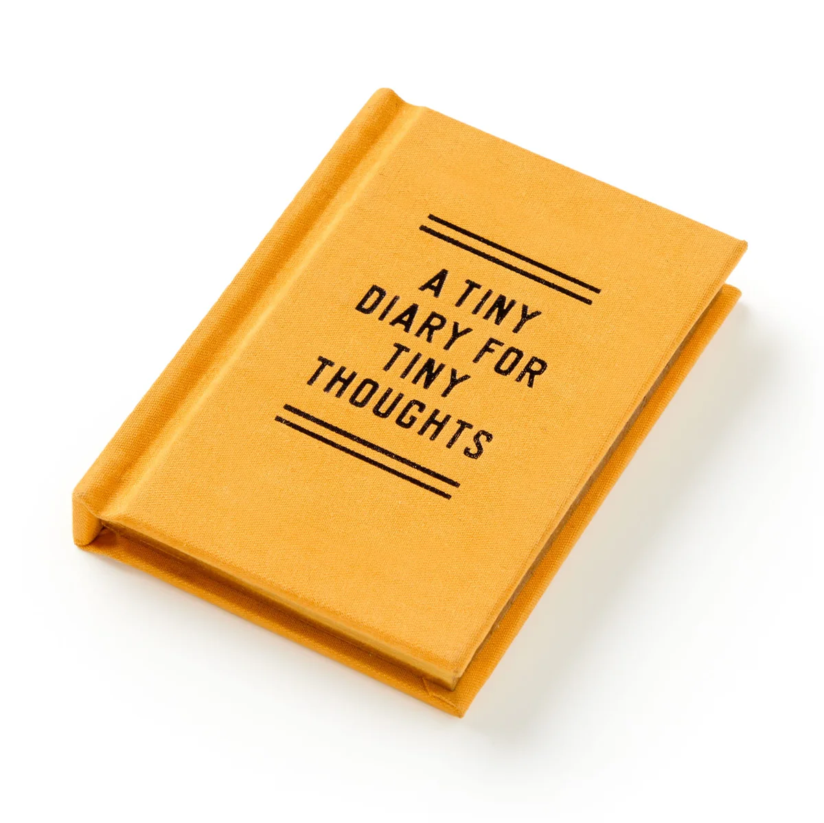 A Tiny Diary for Tiny Thoughts - 4