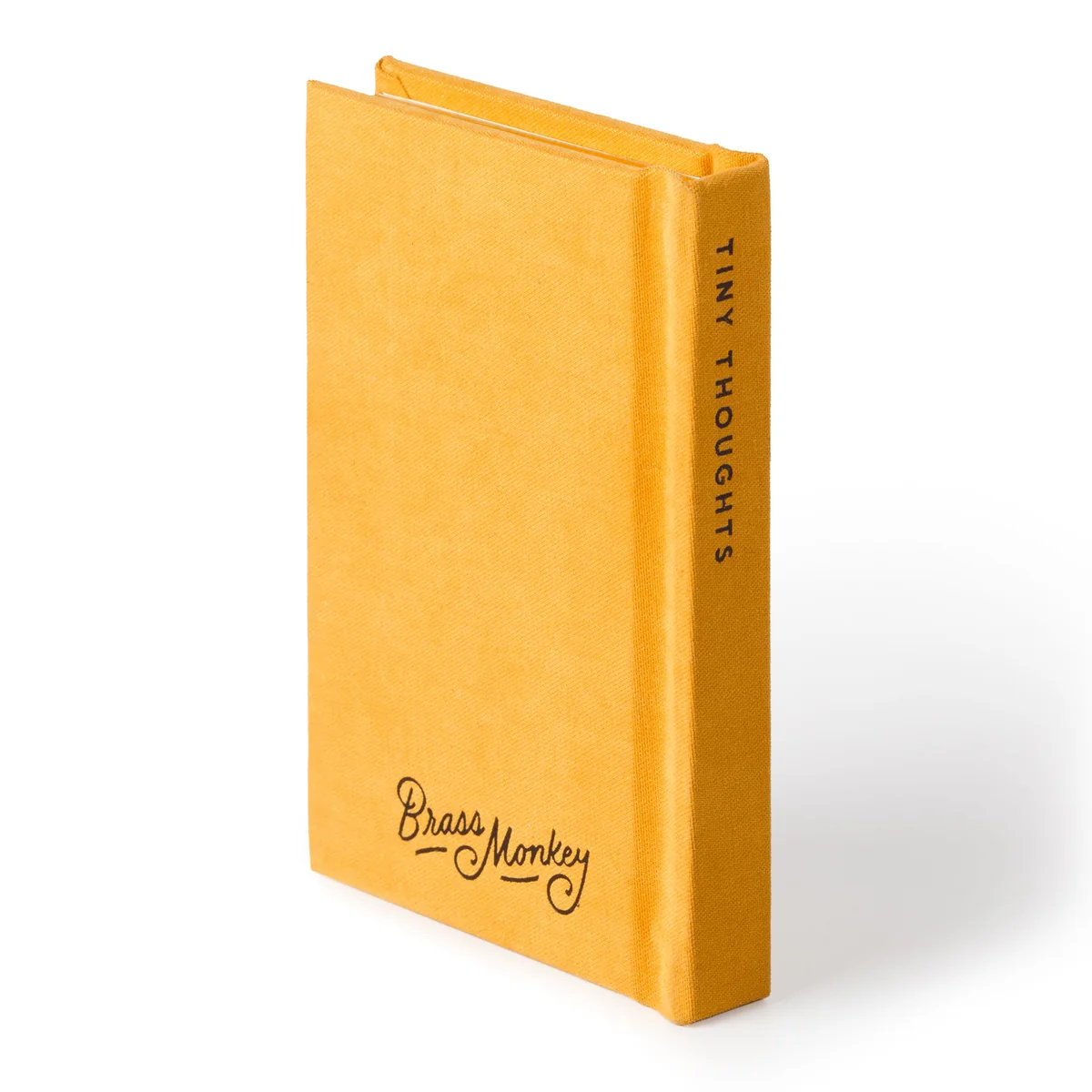 A Tiny Diary for Tiny Thoughts - 8