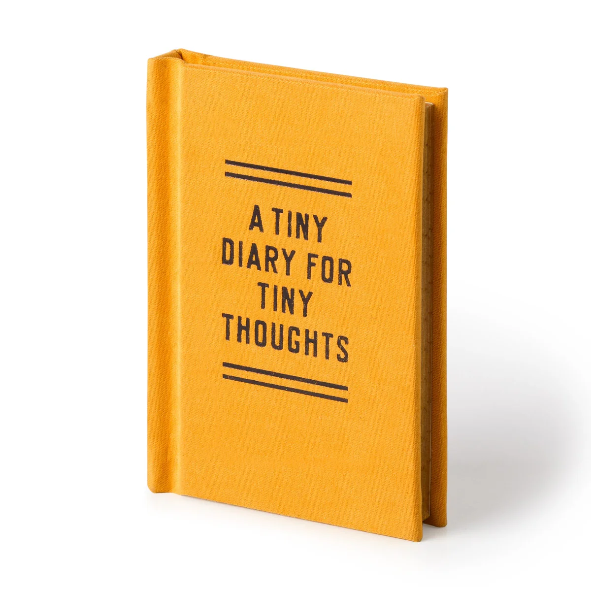 A Tiny Diary for Tiny Thoughts - 3