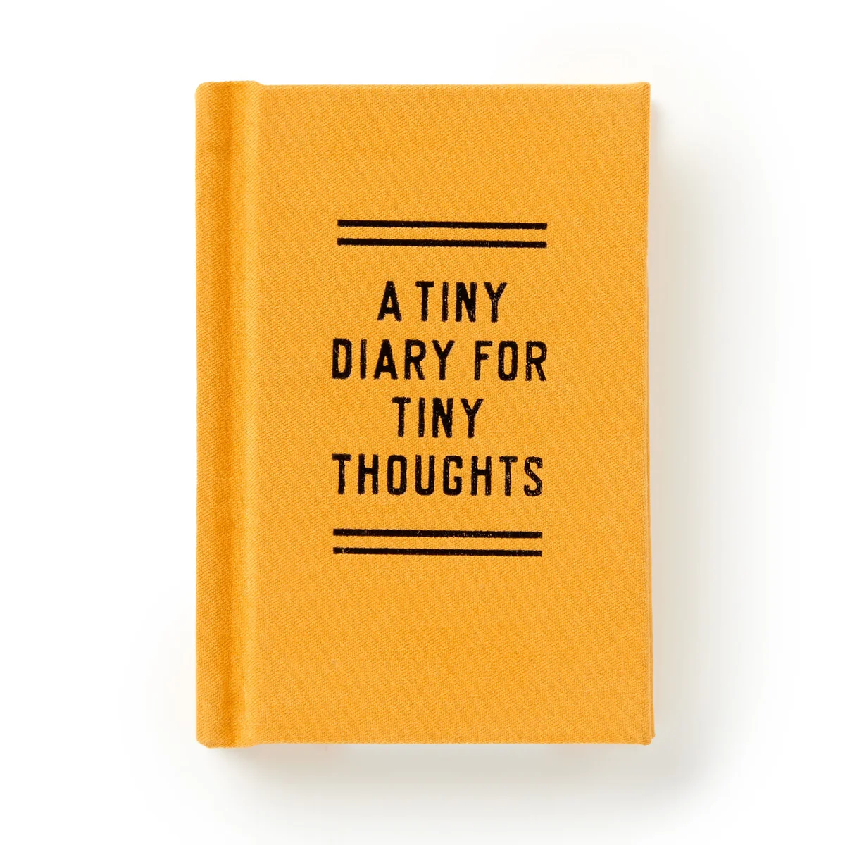 A Tiny Diary for Tiny Thoughts - 2