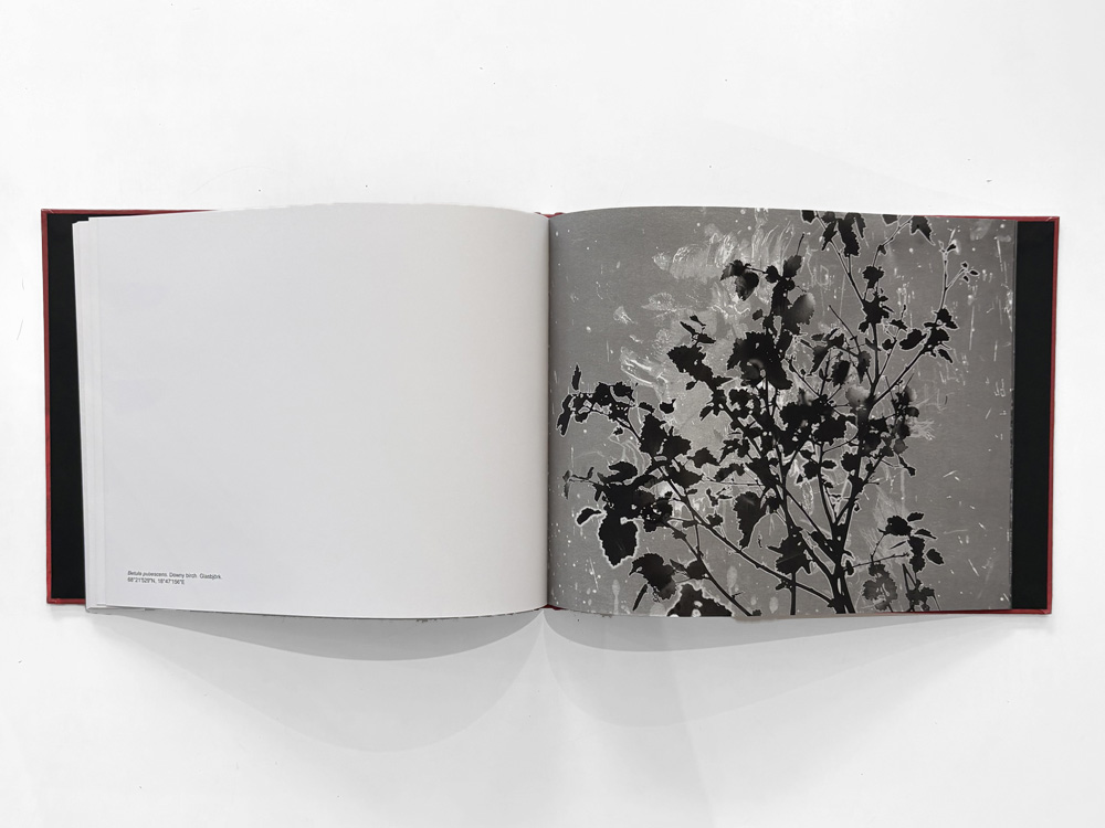 Henrik Zeitler: Abiskograms - 3