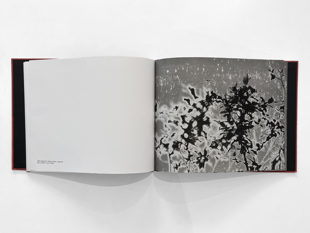 Henrik Zeitler: Abiskograms - 2