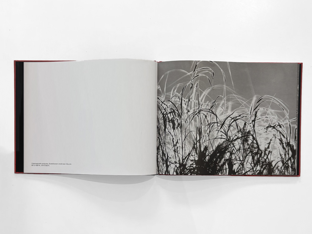 Henrik Zeitler: Abiskograms - 4