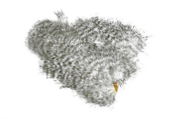 Whiting Spey SH/C Grizzly
