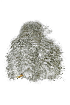 Whiting Spey SH/C Grizzly