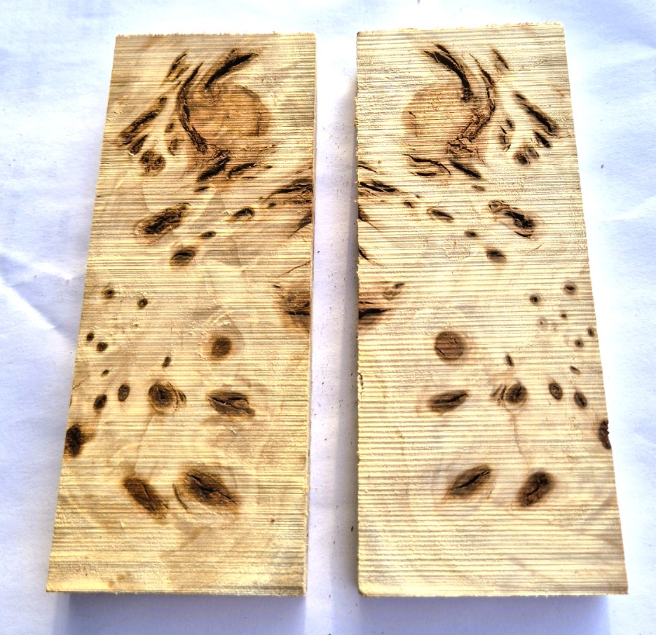 Poppel burl skalor - Mix10