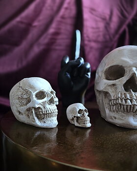 Dekoration Skull - Mini