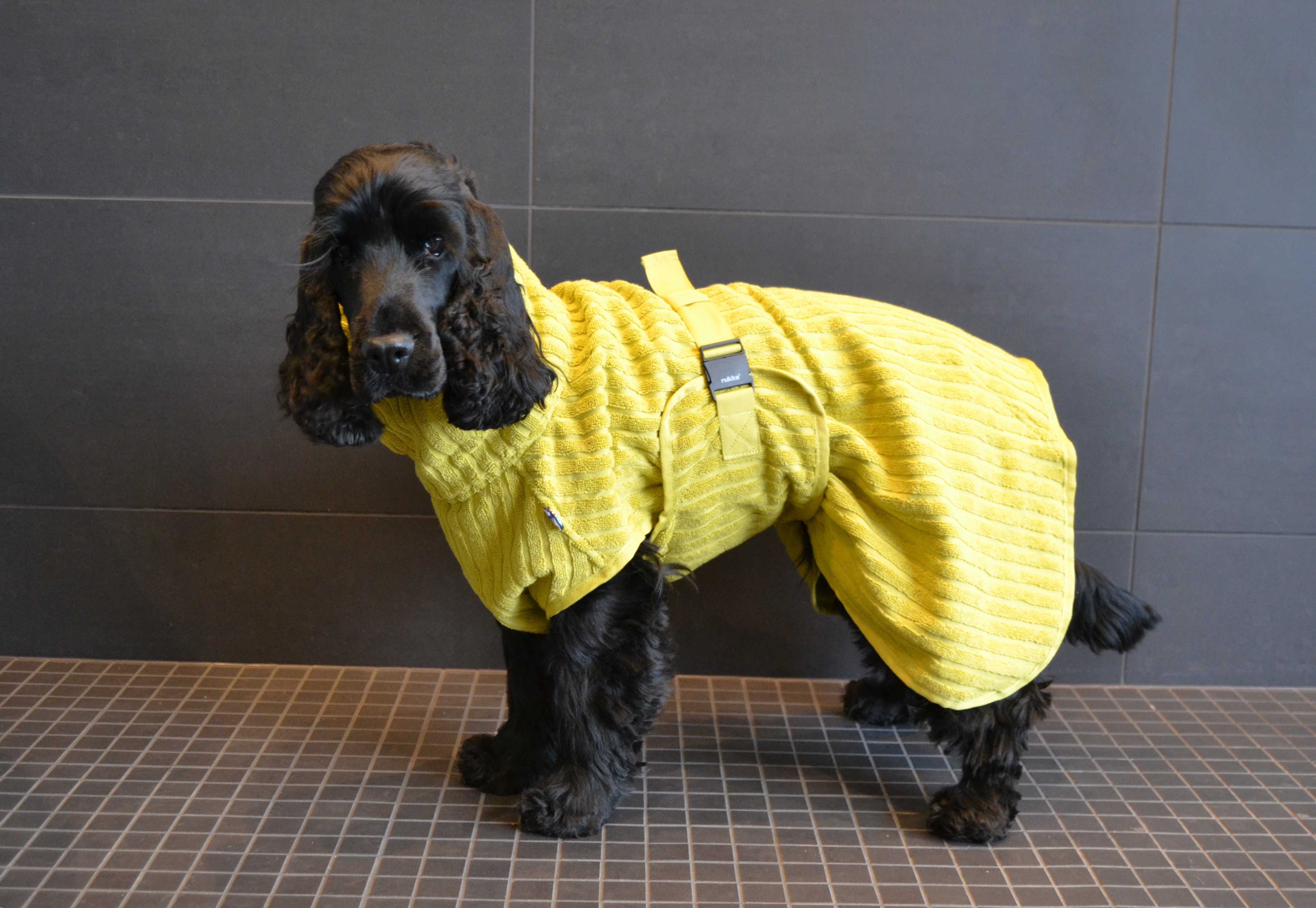 Rukka Pets x LUHTA HOME Aalto Pet Drying Coat - Olive - warming