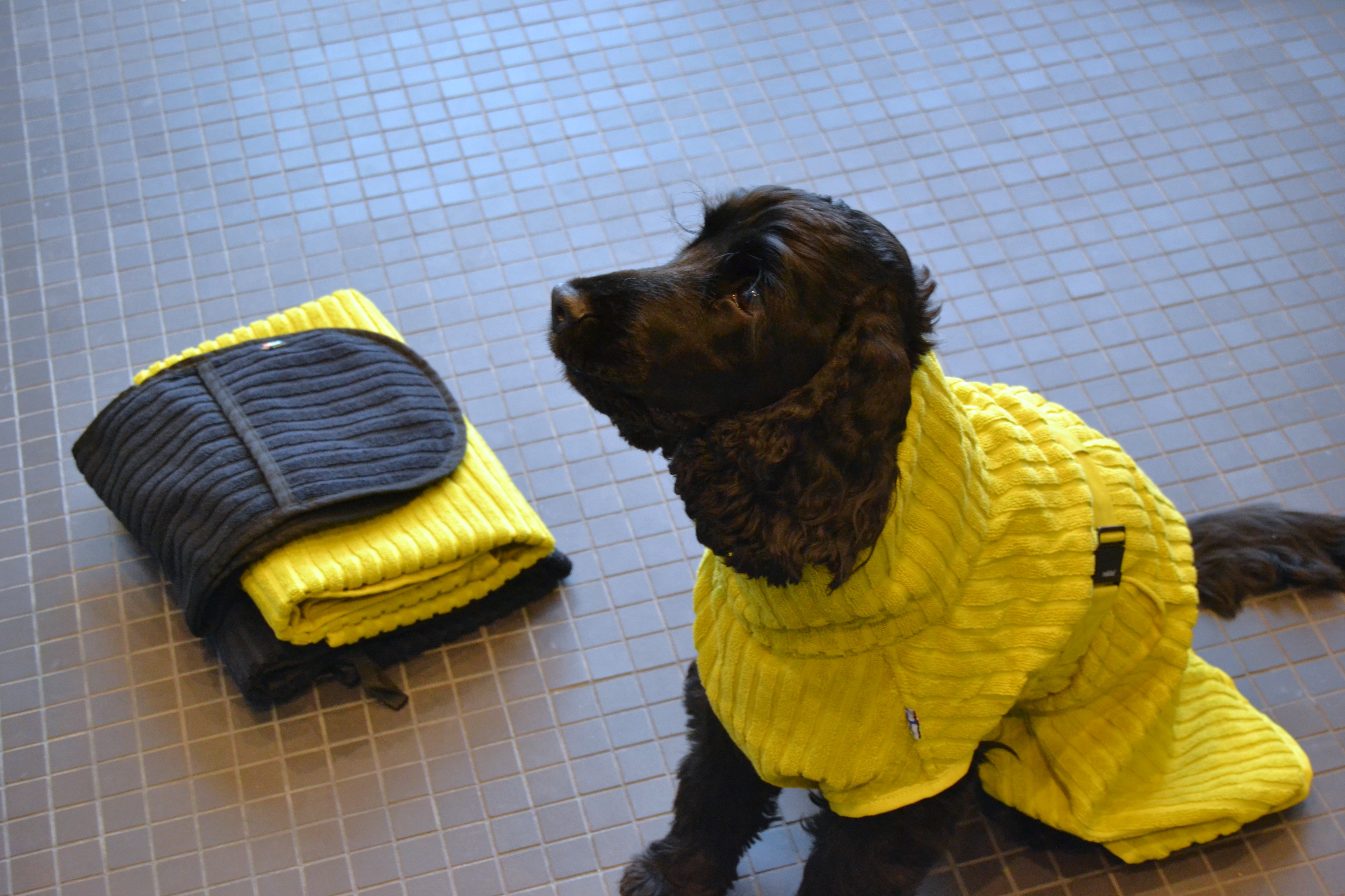 Rukka Pets x LUHTA HOME Aalto Pet Drying Coat - Olive