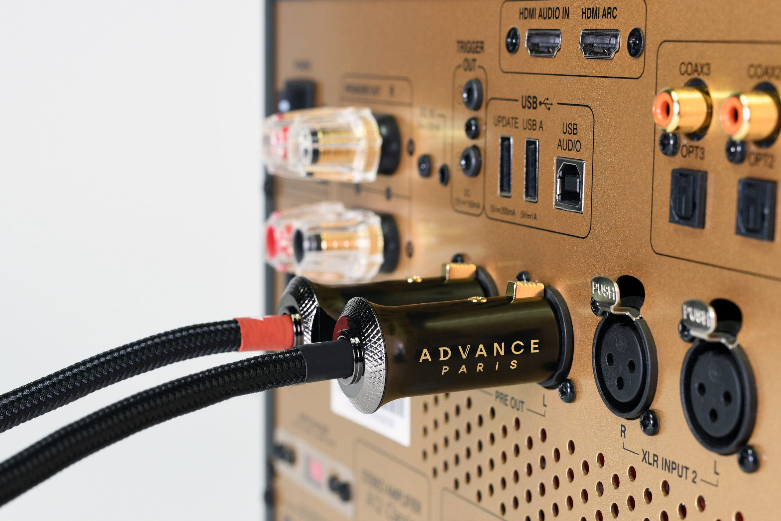 Advance Paris Link XLR-Kablar - 2