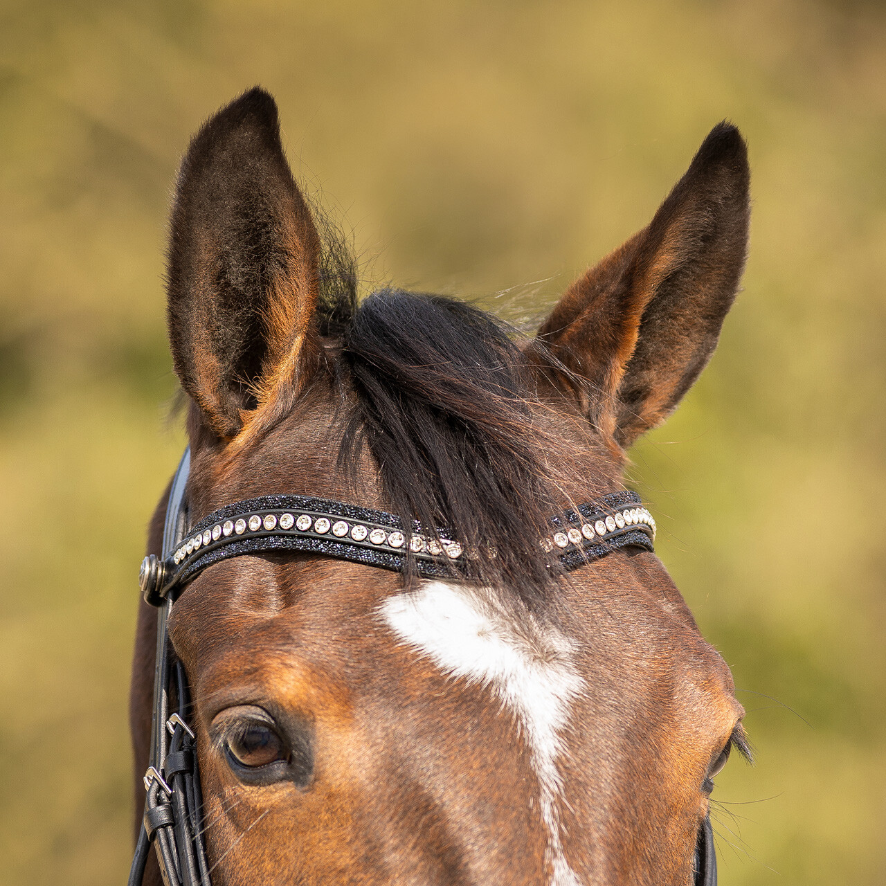 QHP Skye Bridle - Black - glitter