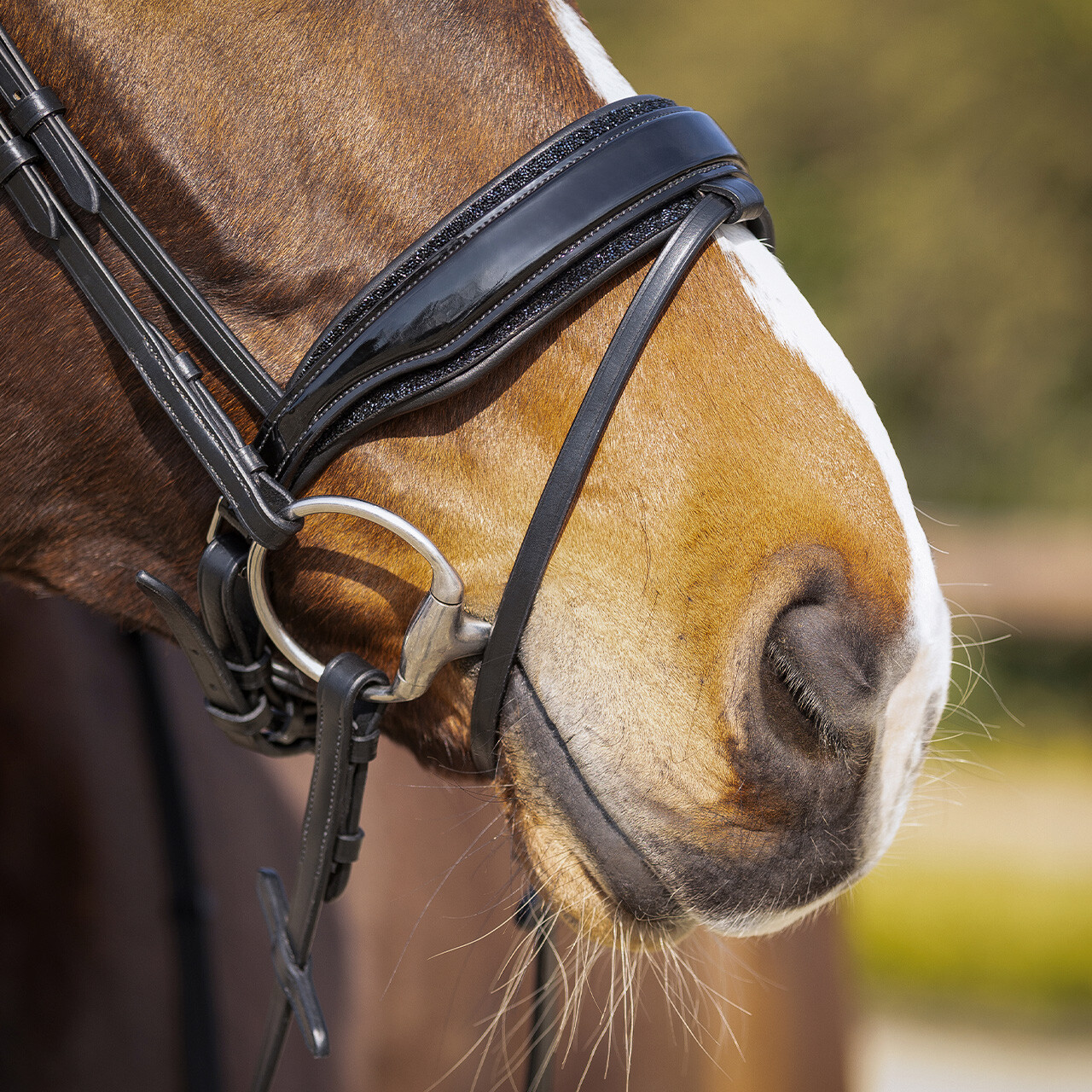 QHP Skye Bridle - Black