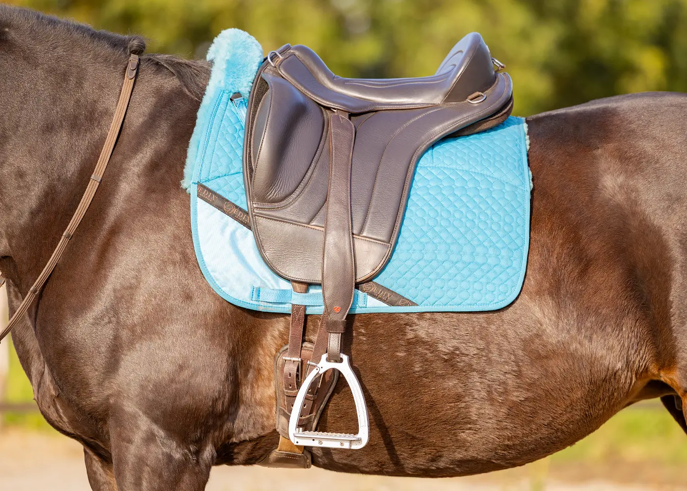 Mono Webber's EDIX® Wide - 2
