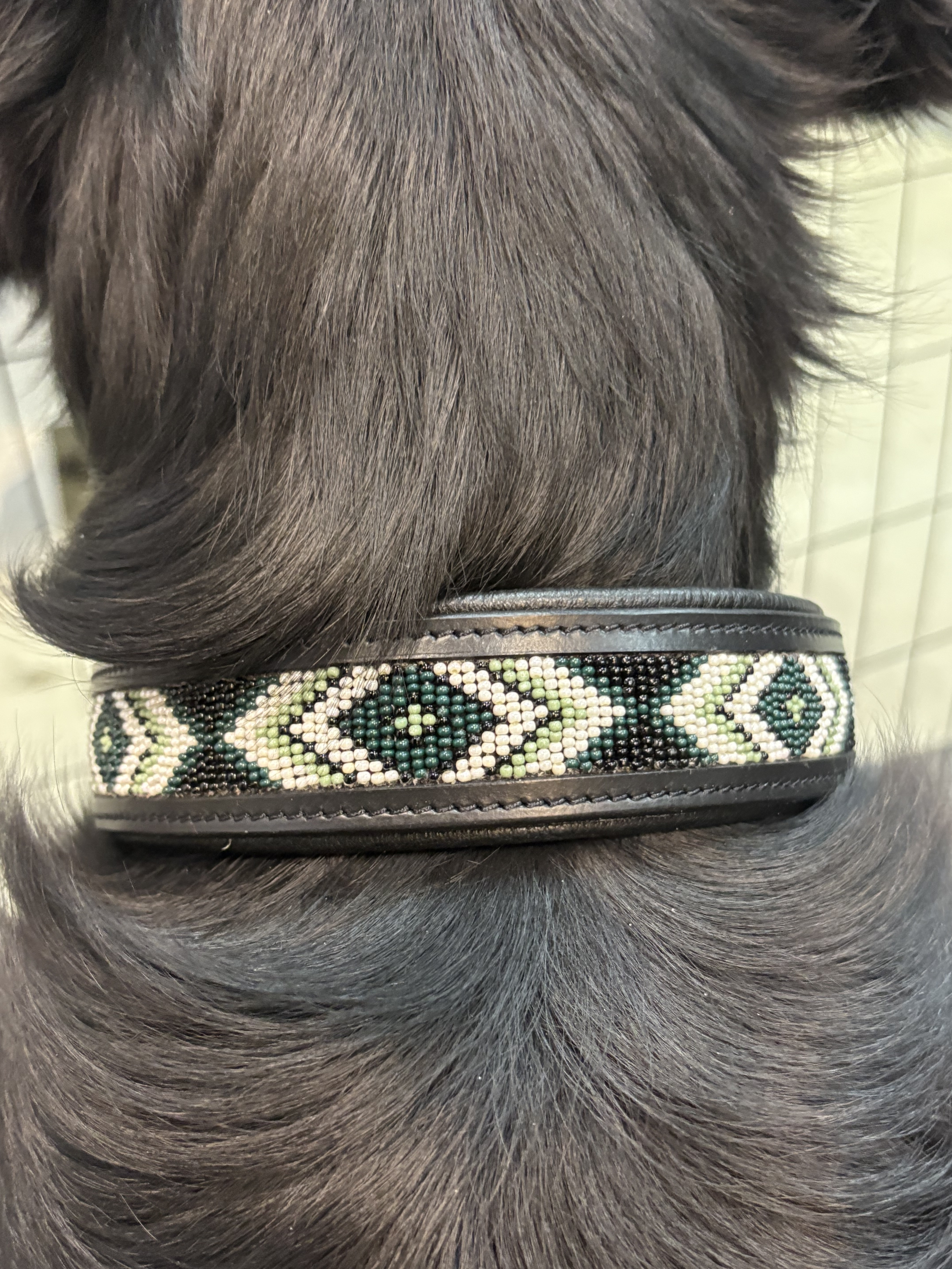 CATAGO Viben Hundhalsband i Läder - Svart (30 cm)