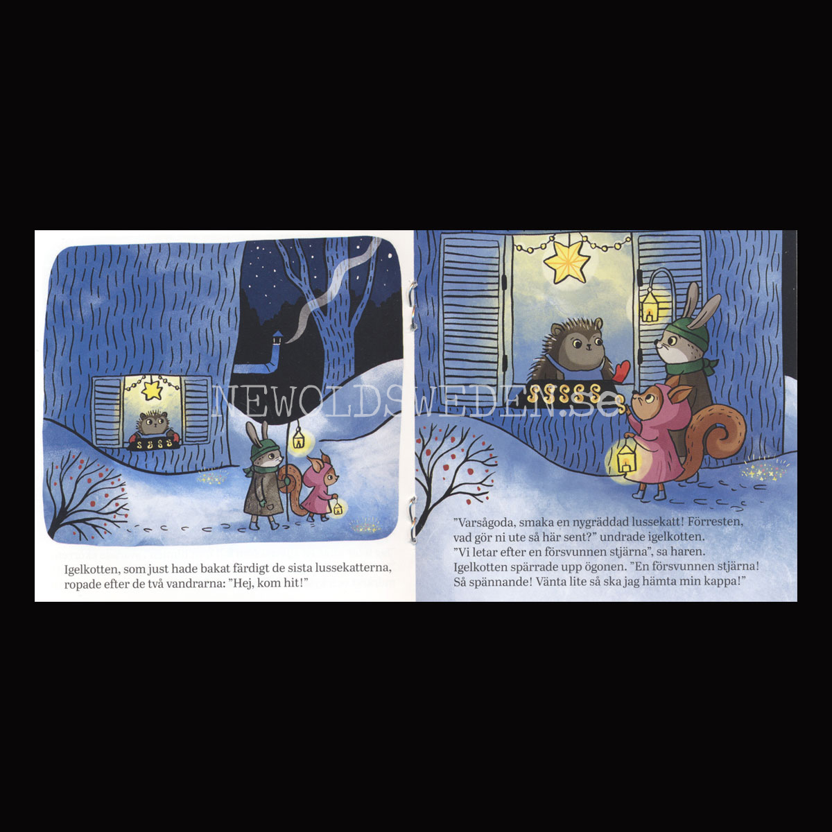 DEN MÖRKASTE NATTEN - pixiböcker - P78 - 24 - 2