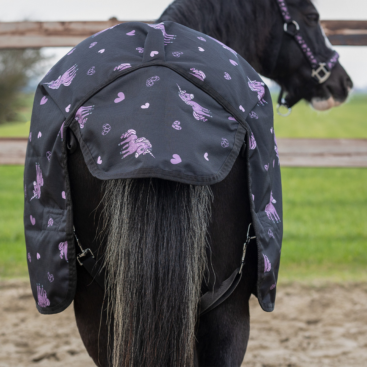 QHP Lize Outdoor Rug 100 g - Black/Purple - breathable