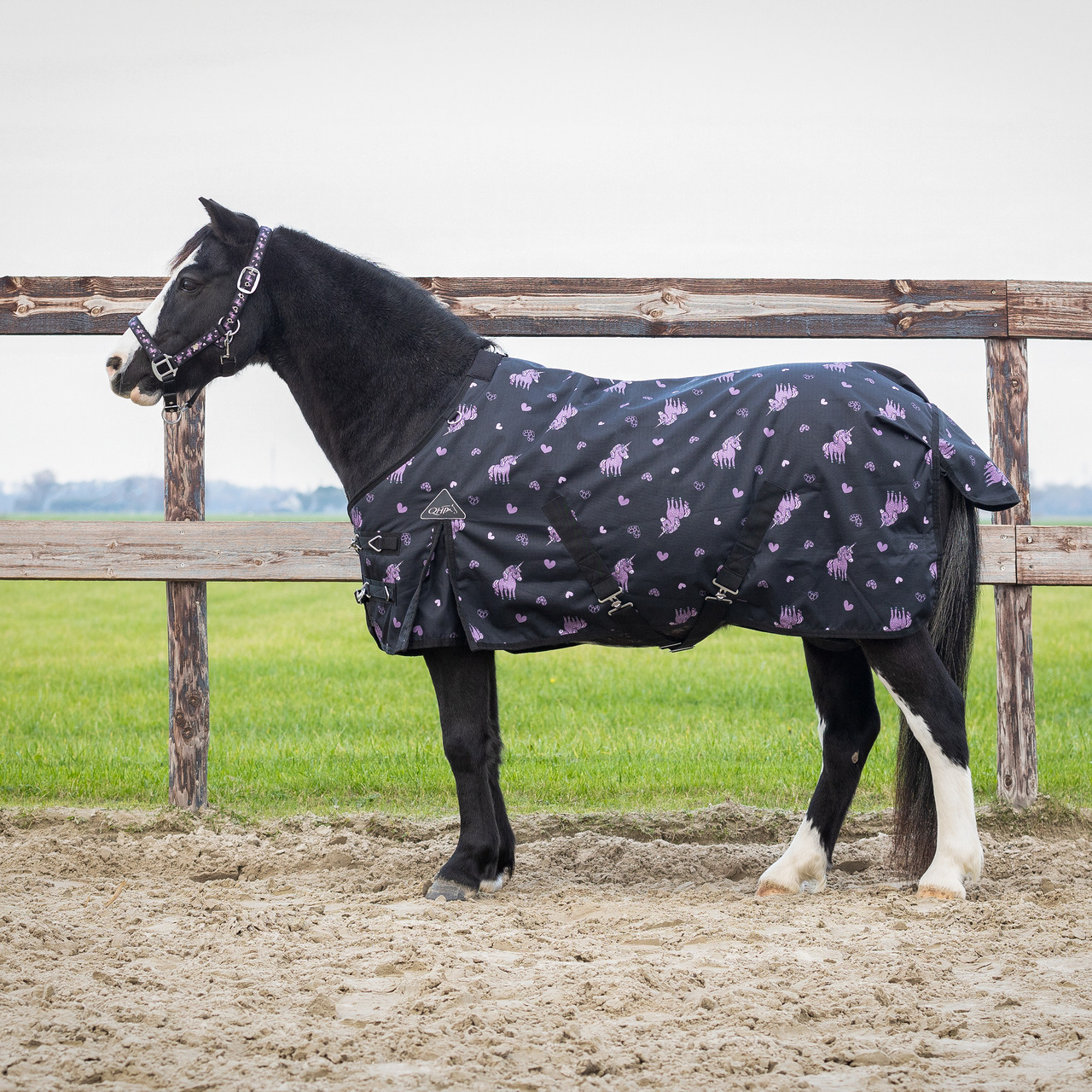 QHP Lize Outdoor Rug 100 g - Black/Purple