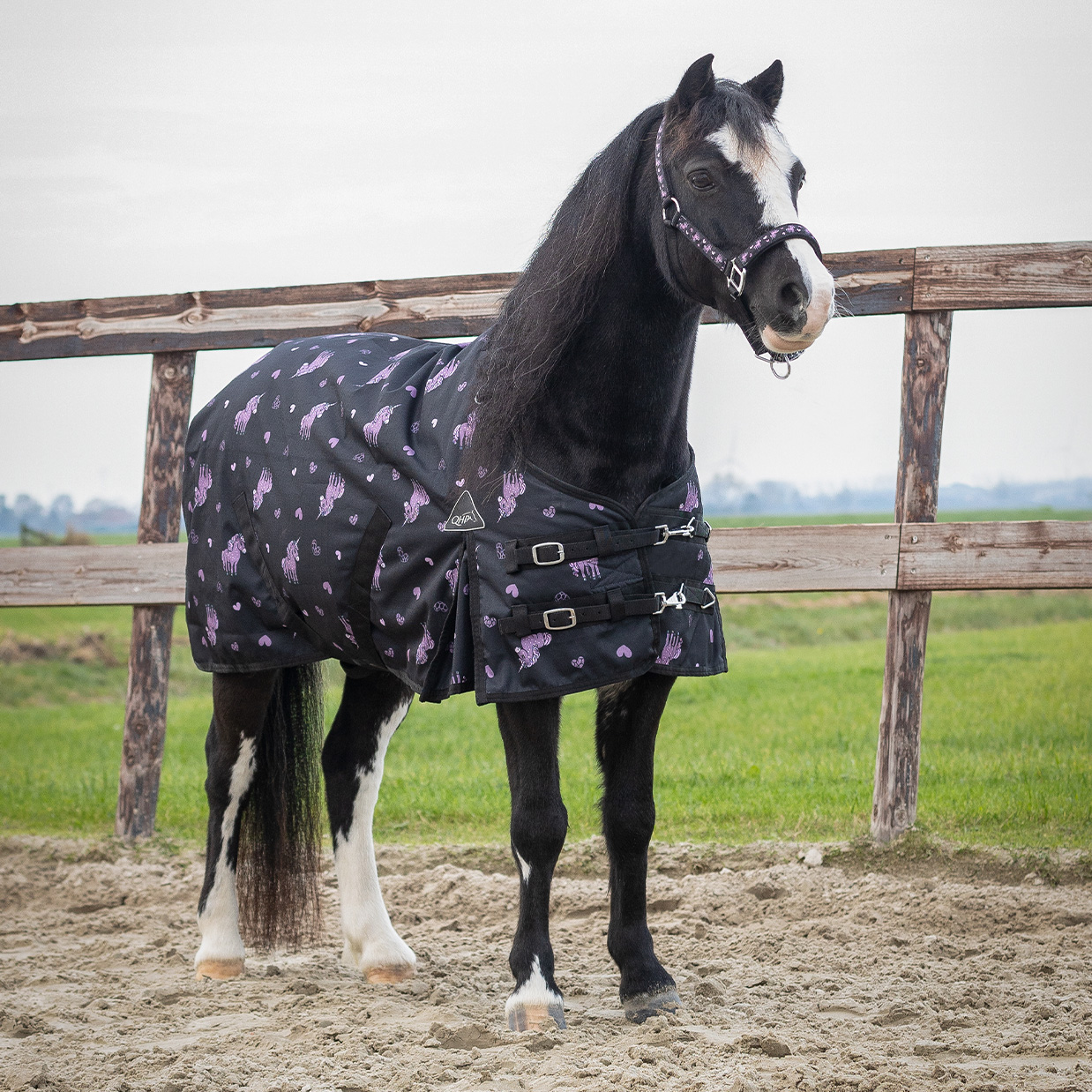 QHP Lize Outdoor Rug 100 g - Black/Purple