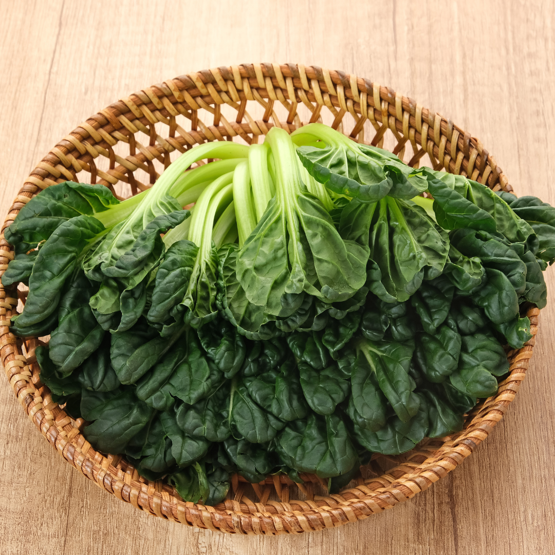 Ekologisk Tatsoi - Japansk Kål