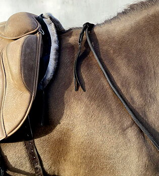 Balance Rein / halsring  / cordeo, QHP Liberta (PP), svart