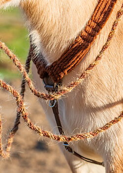 Edix© Roper Breastcollar (Cashmillon)
