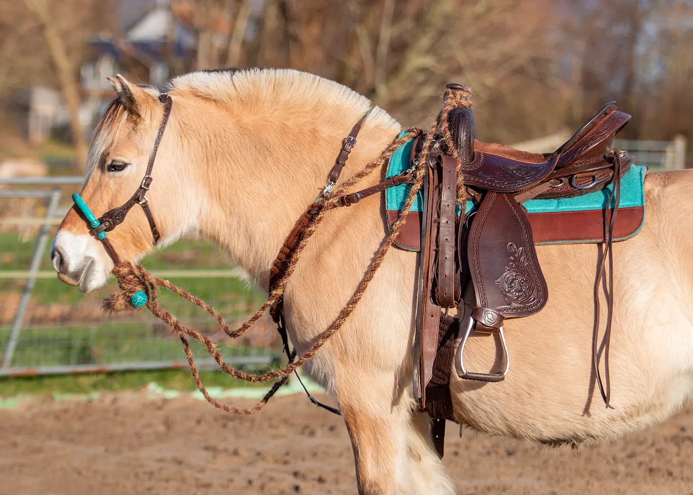 Edix© Roper Breastcollar (Cashmillon) - 4