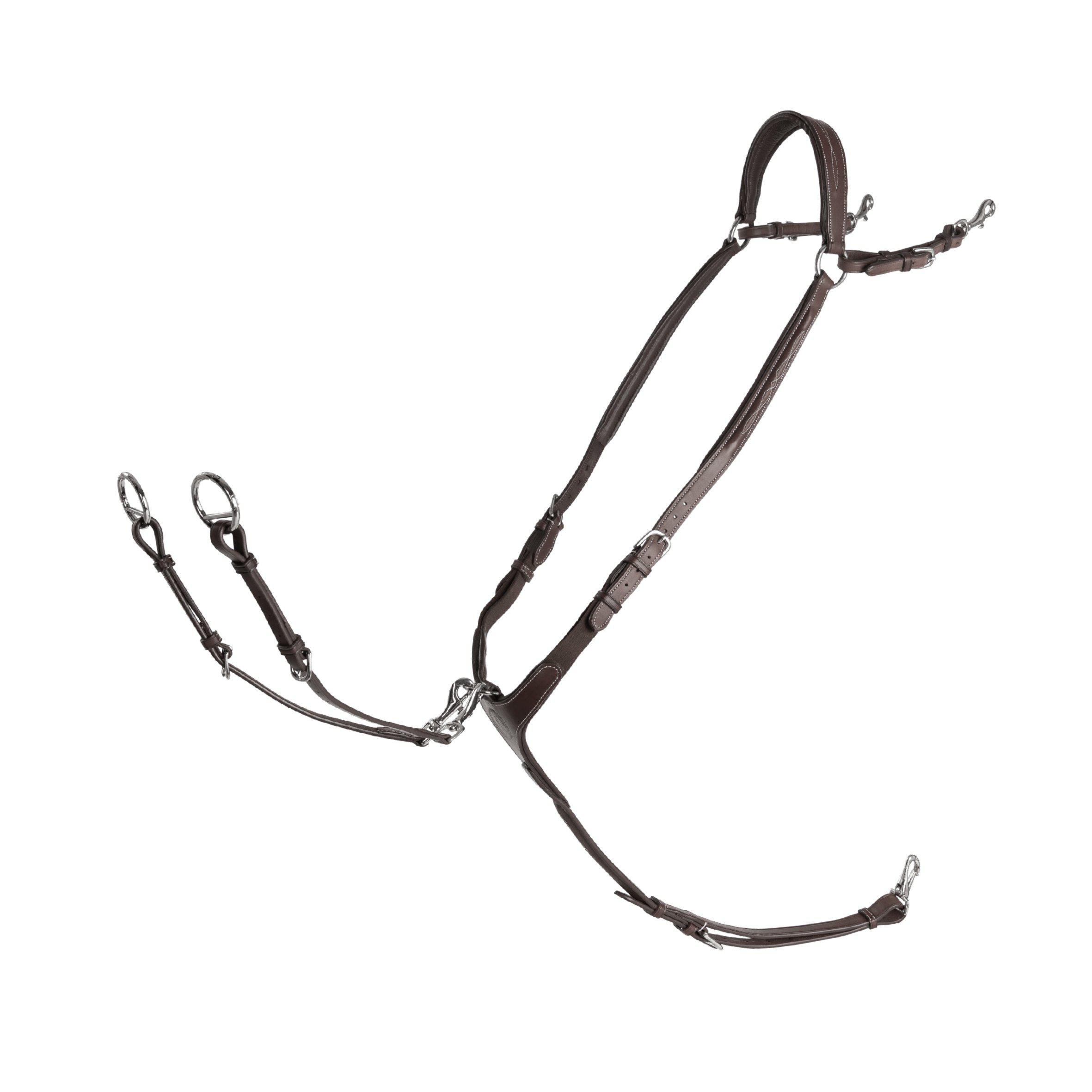 LIPPO SHACKLE FAZZINO WITH SNAP RING MARTINGALE - 2