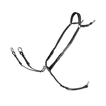 LIPPO SHACKLE FAZZINO WITH SNAP RING MARTINGALE