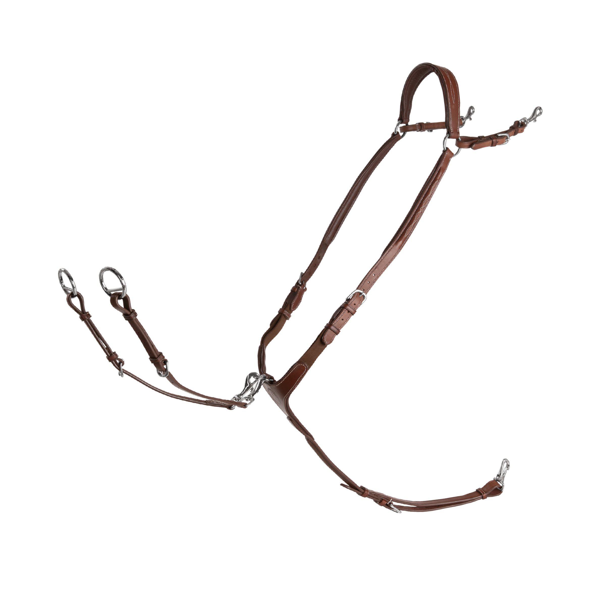 LIPPO SHACKLE FAZZINO WITH SNAP RING MARTINGALE - 3