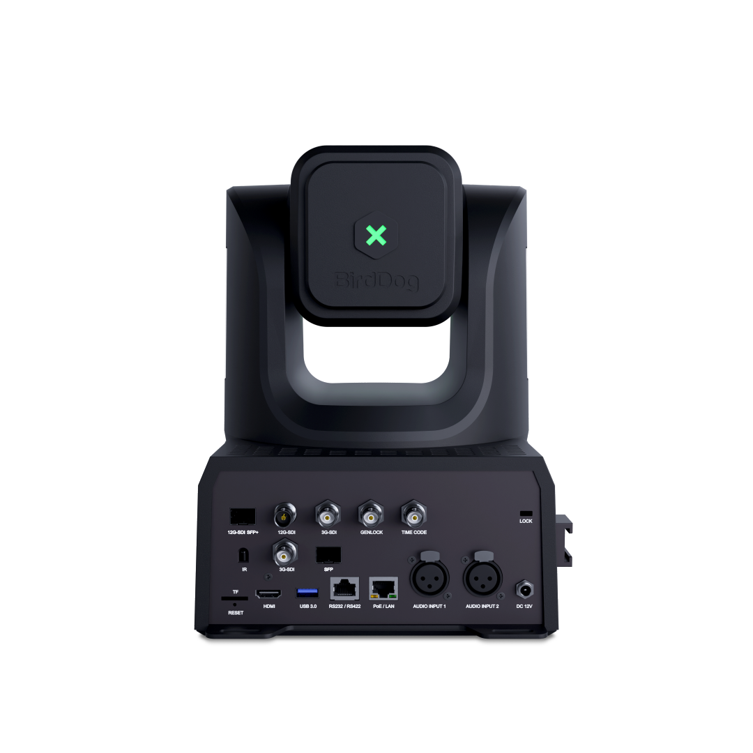 BirdDog XL Ultra - Black - 2
