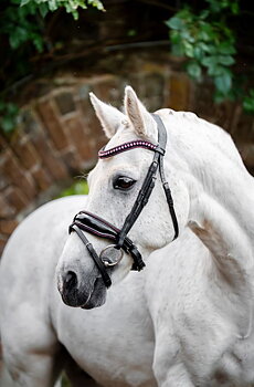 Horseware Diamante Flash Suitset – Musta/Roosa