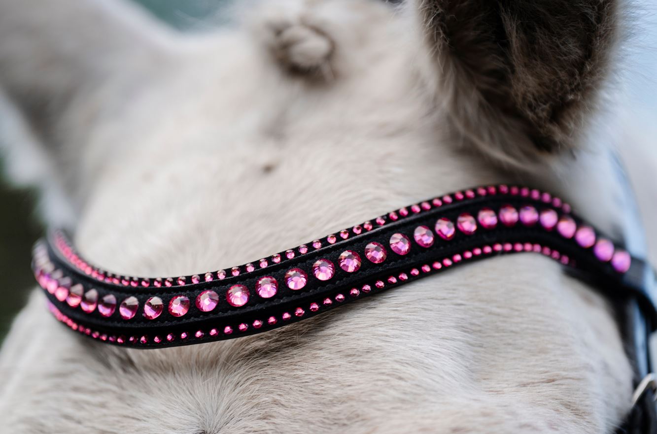 Horseware Diamante Flash Bridle - Black/Pink - padded