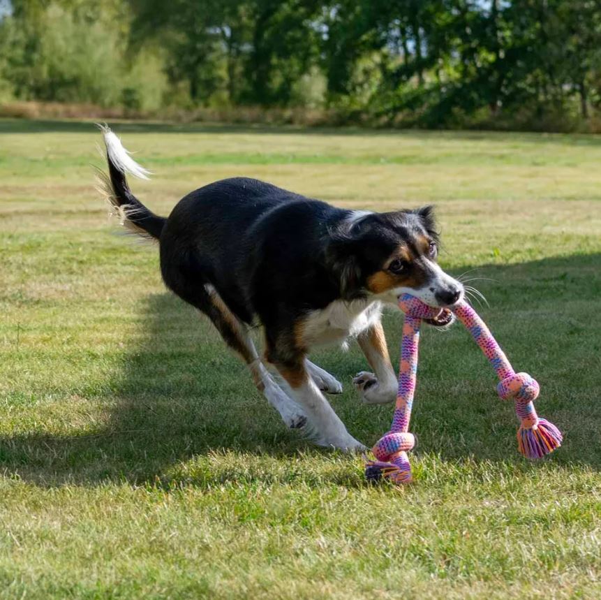 Ozami Dog Toy Big Rope 3 Knots 63 cm - durable