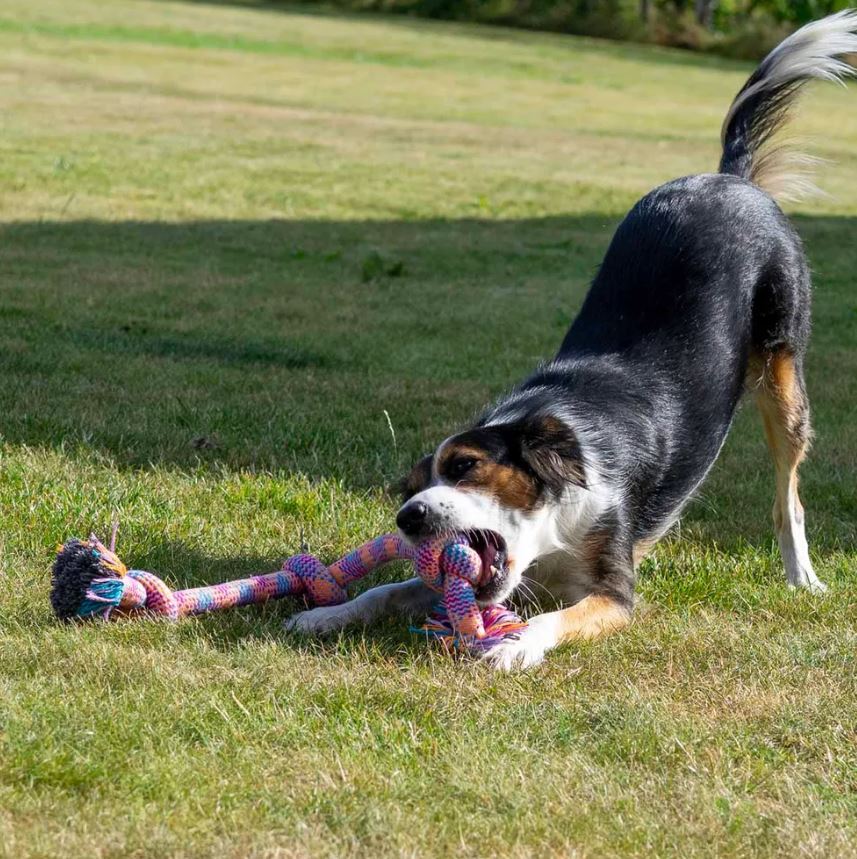 Ozami Dog Toy Big Rope 3 Knots 63 cm