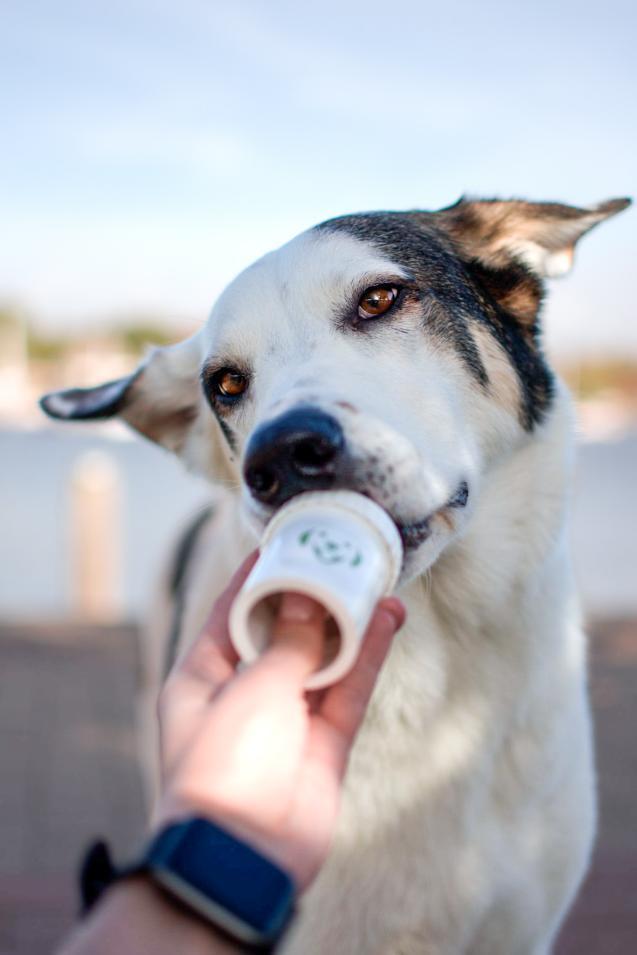 Doggypumper - belöningspump - 2