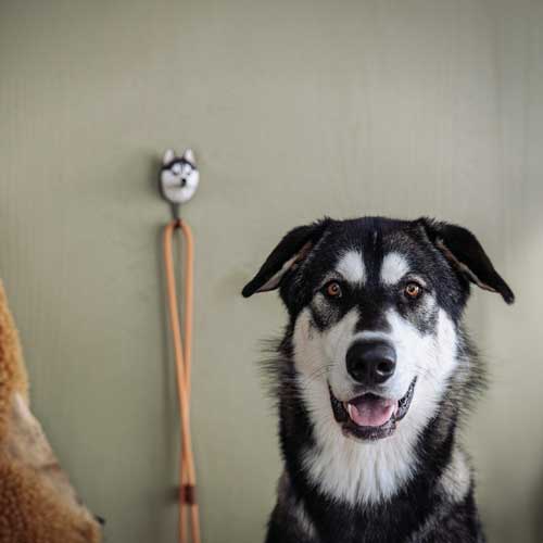 Hand-carved hook Siberian Husky - 3