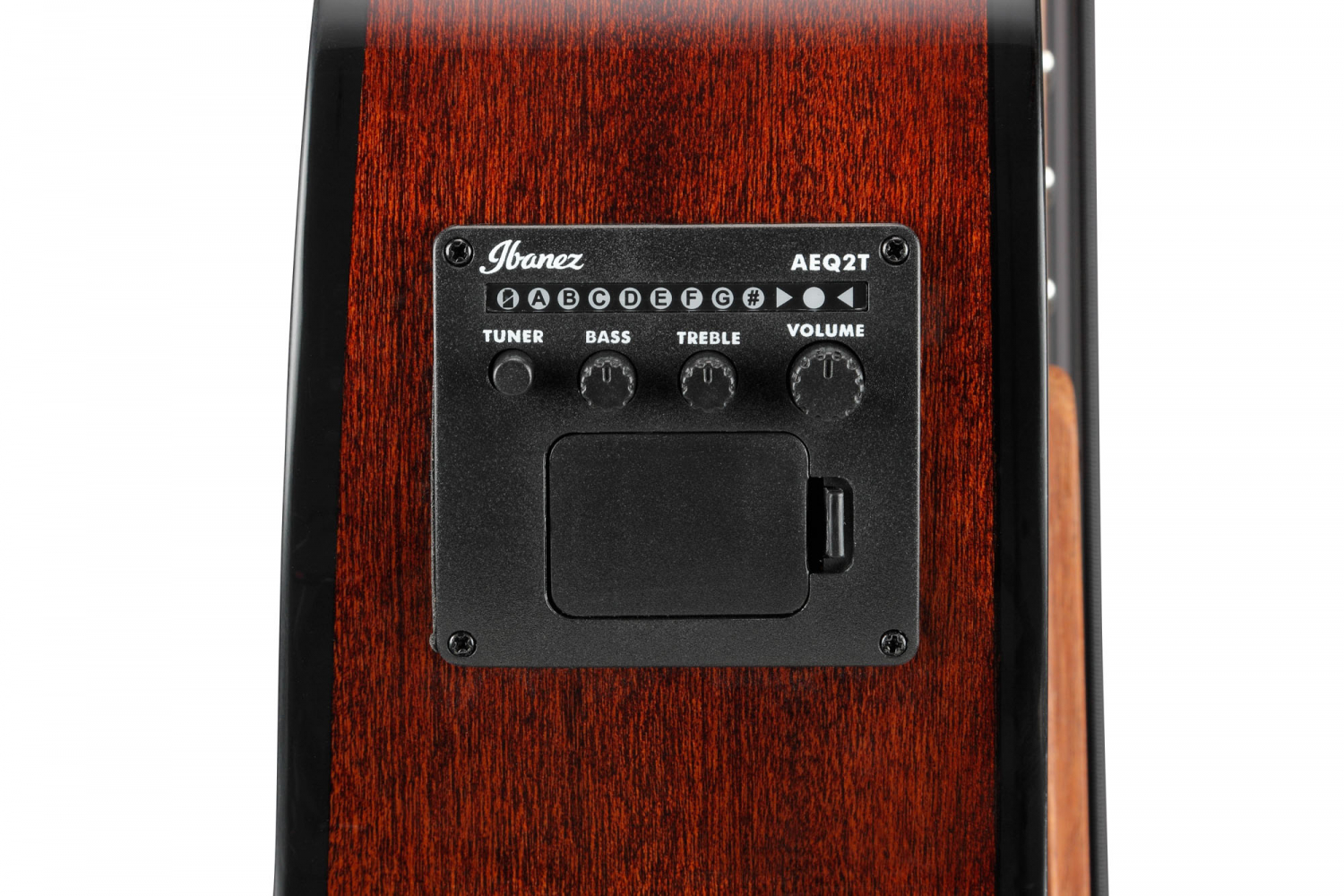 Ibanez AEGB24E-MHS Acoustic Bass - 5